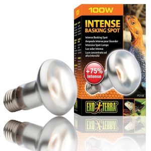 Exo Terra Intense Basking Spot - 100W
